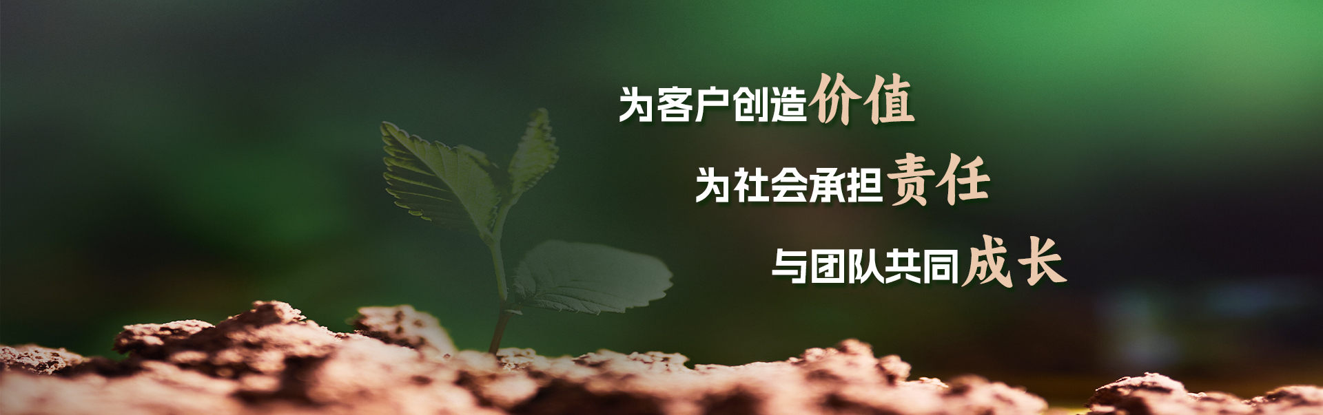 熊猫体育 水下无人机数据服务