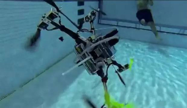 江豚种群10年增20倍！石首天鹅洲保护区摘得全省生态系统首个湖北改革奖