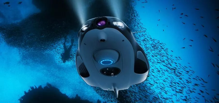 中国“科技耳”听见146头恒河豚