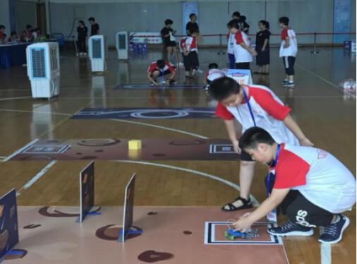 精密协作:顶级赛车车队的冠军拼图揭秘