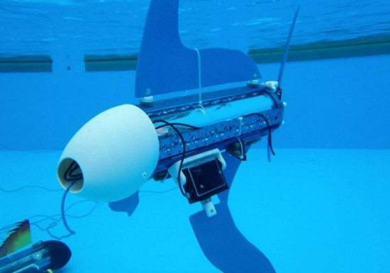 锻造海洋里的“钢筋铁骨”重量级选手陆续登场产业湛江④