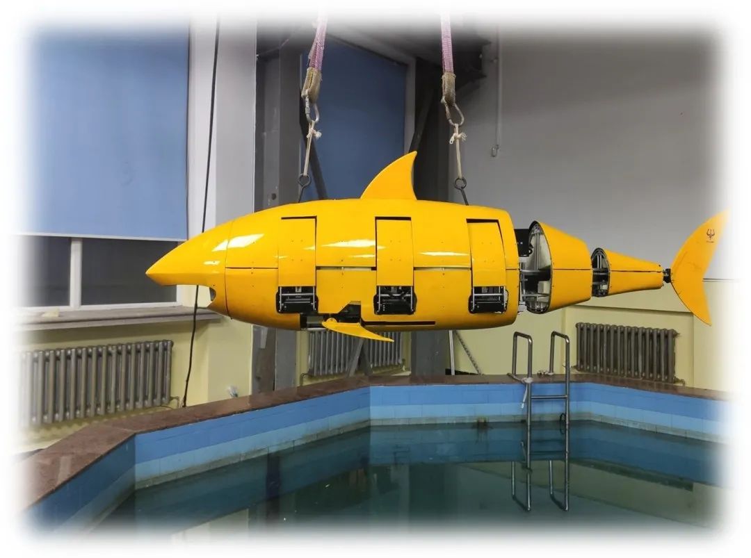 【聚焦2026中关村论坛年会】更“聪明”的机器人有了更多“用武之地”