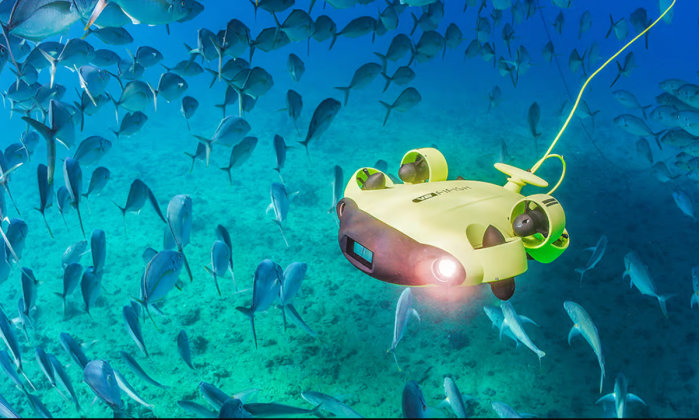 美军如何在霍尔木兹海峡扫雷：海上无人系统主导海豚也是选项之一