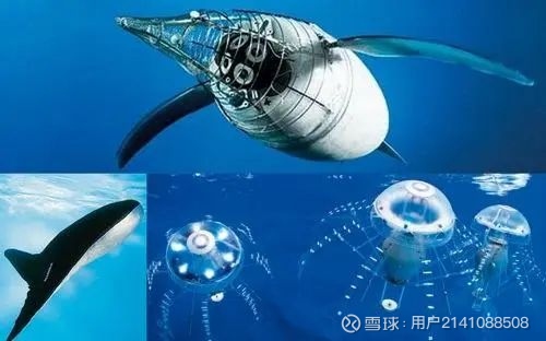“智渔仿生”团队发布低驱动水下仿生机器人:赋能渔业振兴新路径