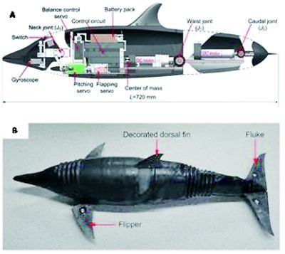 海洋油气供给稳步增长、船舶工业持续领跑……上半年我国海洋经济显现这些特点